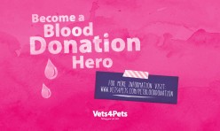 Vets4Pets - Blood Donors